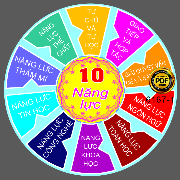 10 nang luc hoc sinh 1.png