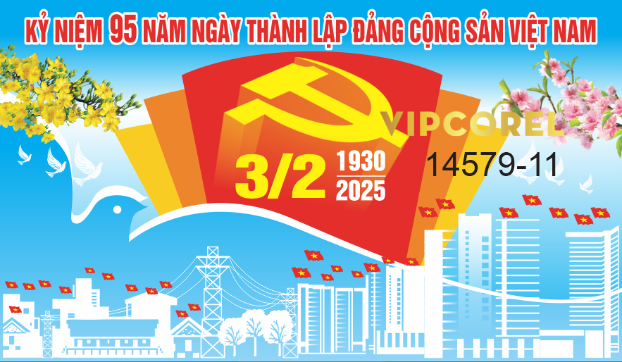 14579-11.png