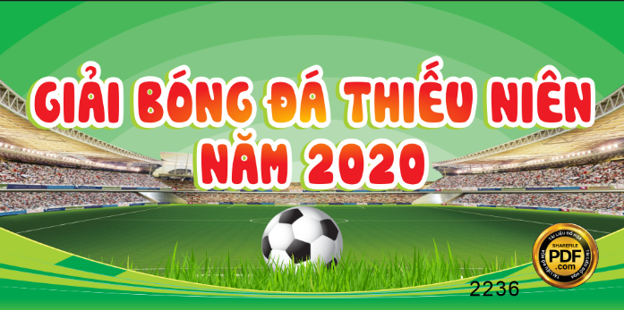  giải bóng đá thiếu niên năm 2022