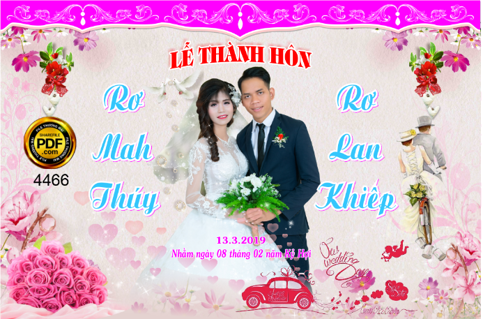 Phông cưới background màu Hồng đẹp