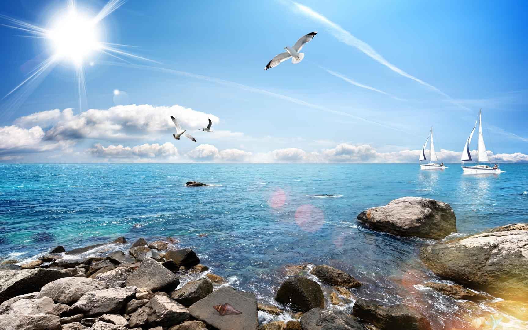 1724126528365.png