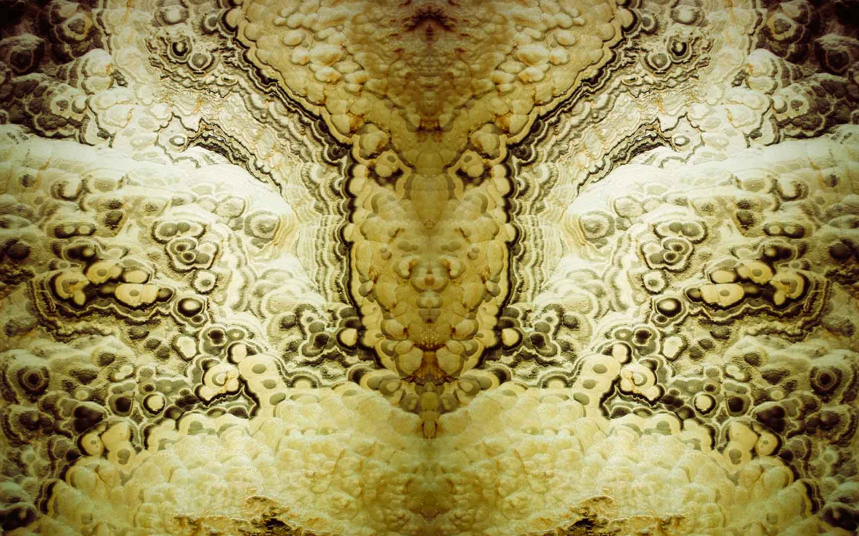 1724201450673.png