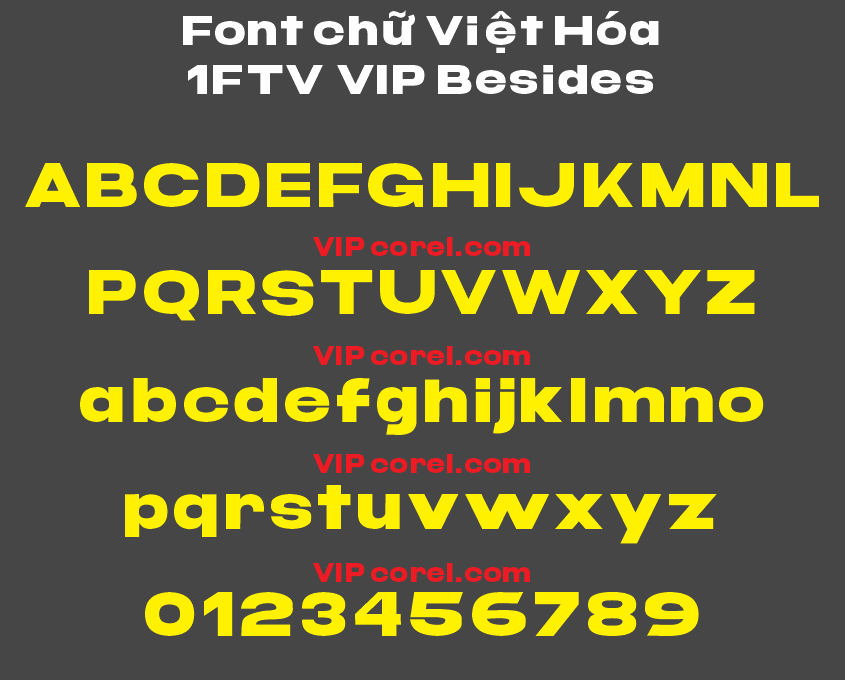 1FTV VIP Besides.png