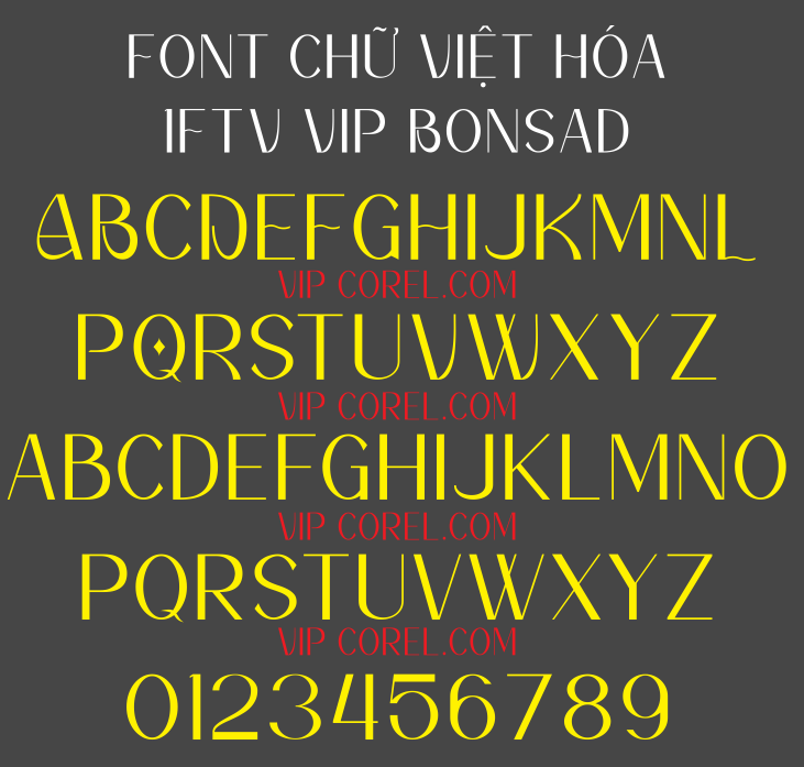 1FTV VIP Bonsad.png