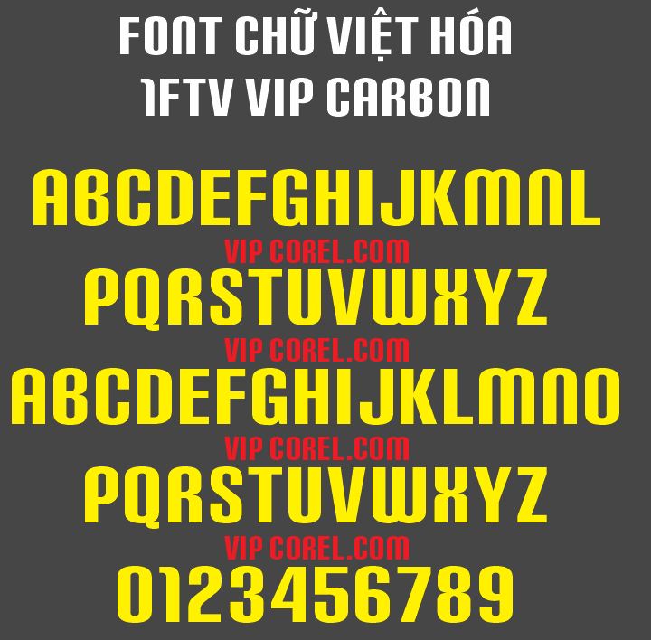 1FTV VIP Carbon.png