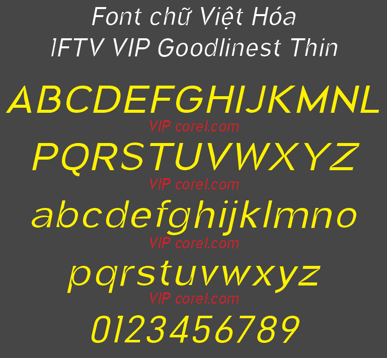 1FTV VIP Goodlinest Thin.png