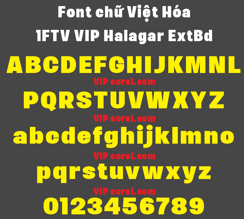 1FTV VIP Halagar ExtBd.png