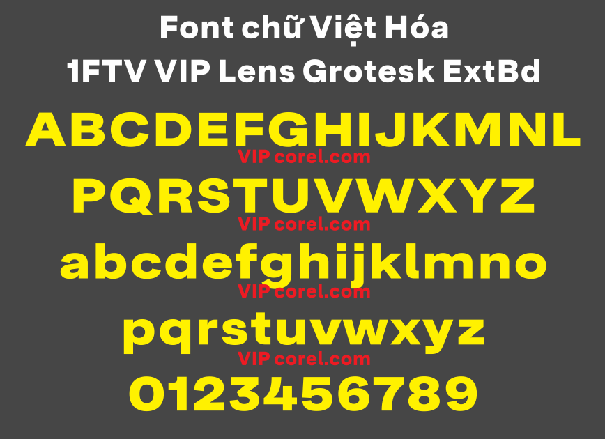 1FTV VIP Lens Grotesk ExtBd.png
