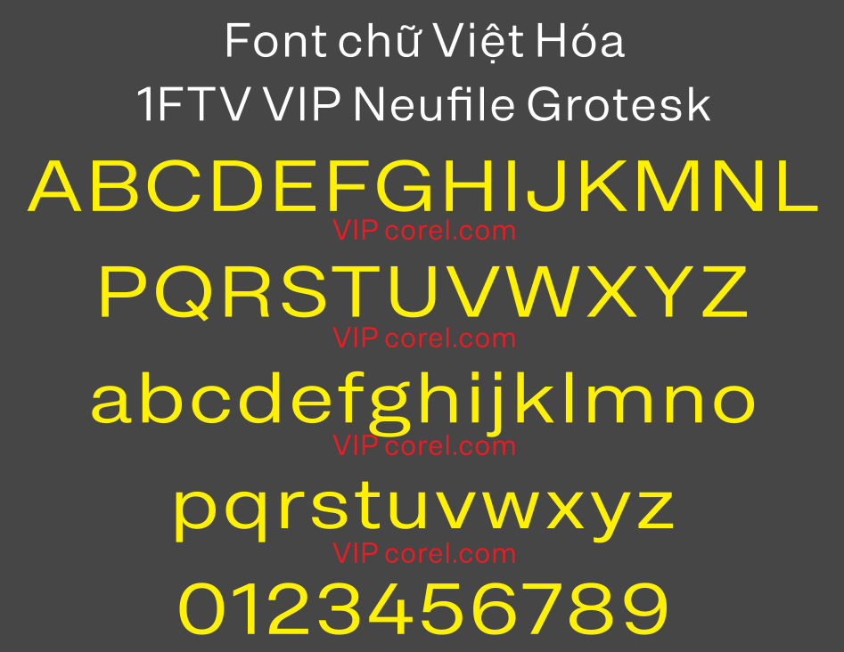 1FTV VIP Neufile Grotesk.png