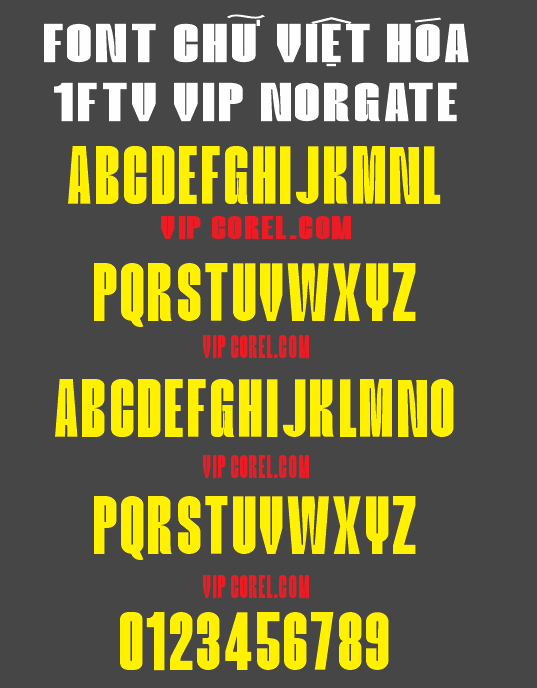 1FTV VIP Norgate.png
