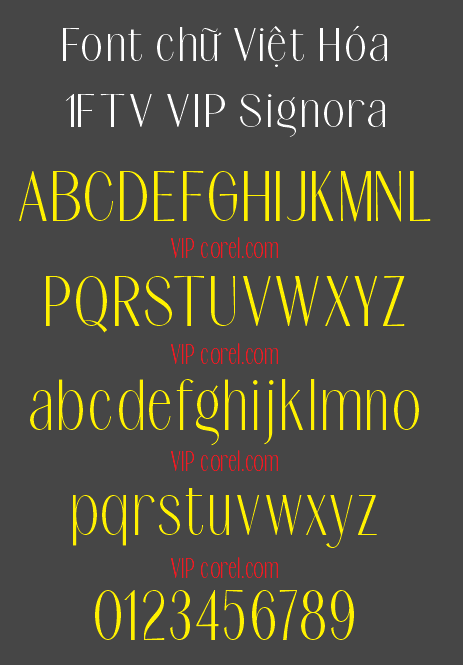 1FTV VIP Signora.png