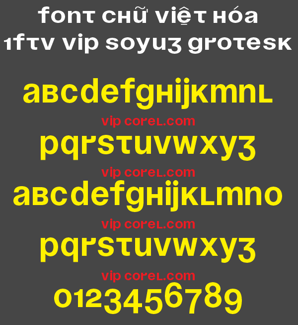 1FTV VIP Soyuz Grotesk.png