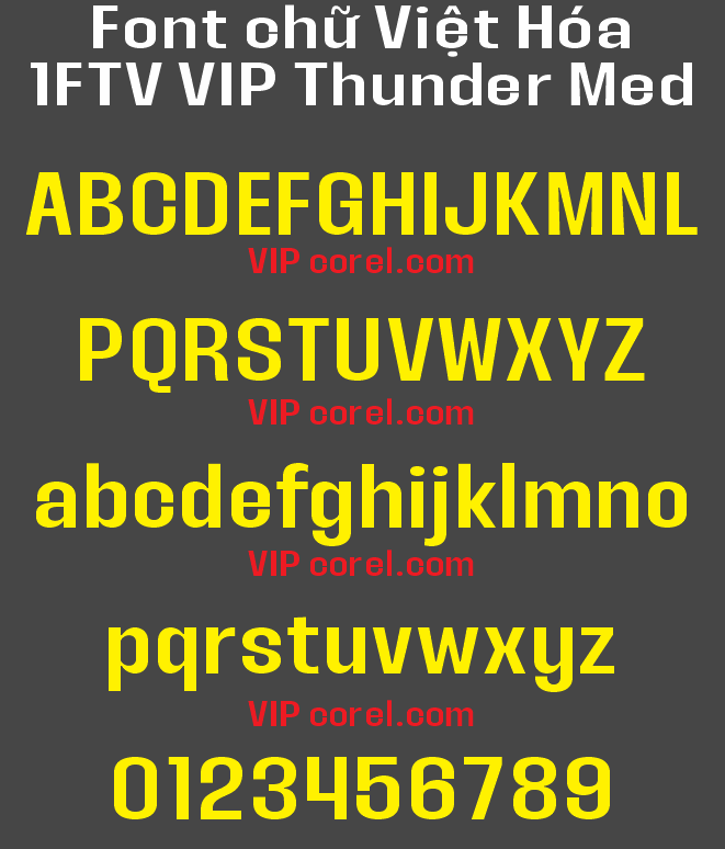 1FTV VIP Thunder Med.png