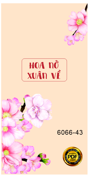 43.png