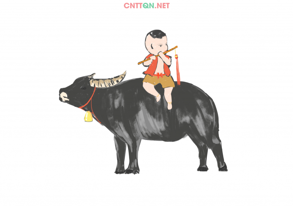 4827.jpg