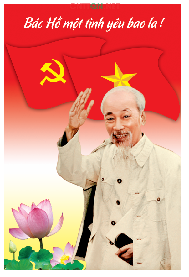 4947 3.png