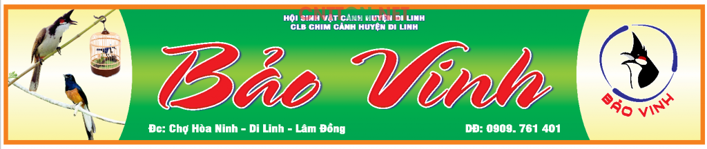 4949.png