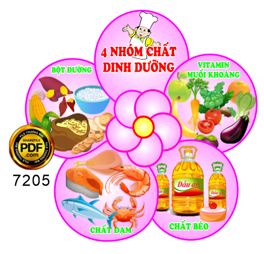 bang bong hoa 4 nhom chat dinh duong.png