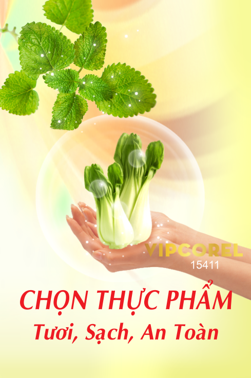 banner an toan thuc pham #2.png