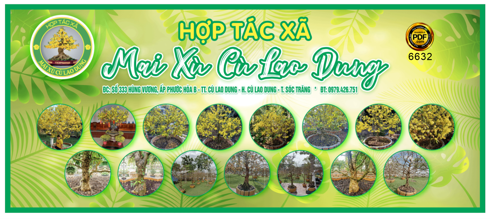 banner facebook cay canh hop tac xã mai xu cu lao dong.png
