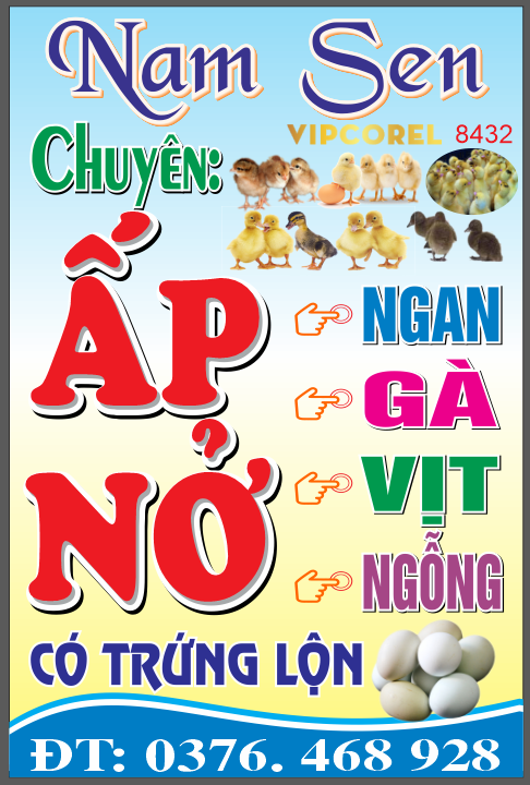bien vay ban gia cam nam sen.png