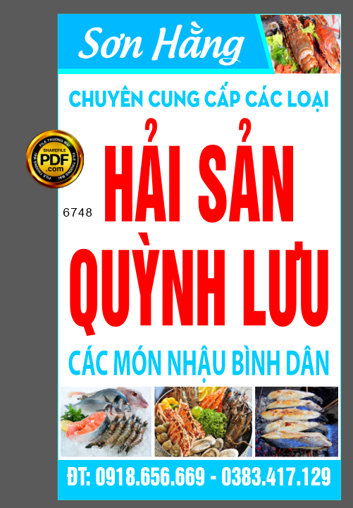 bien vay hai sai quynh luu - son hang.png