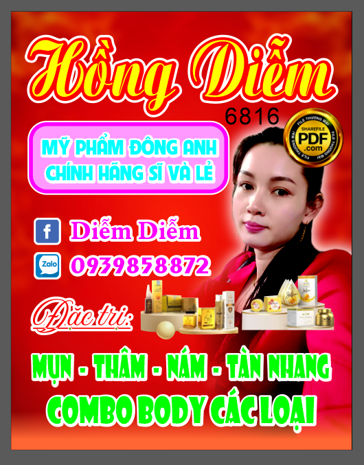 bien vay my pham dong anh - hong diem.png
