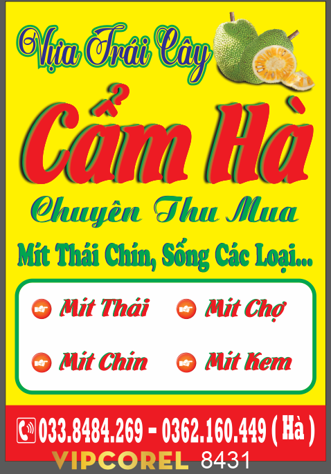 bien vay vua trai cay cam ha.png