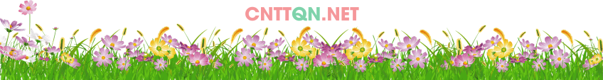 bo hoa trang tri chan tuong dep 4.png