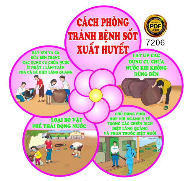 cach phong tranh benh sot xuat huyet.png