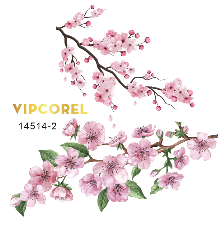 canh hoa dao trang tri phong tet 2.png