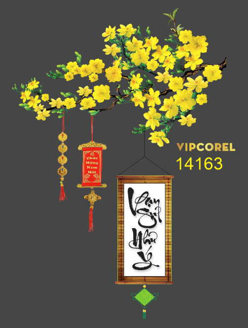 canh hoa mai ngay tet 2025.png