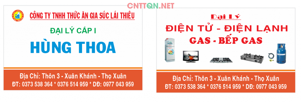 card visit dai ly dien tu dien lanh gas.png