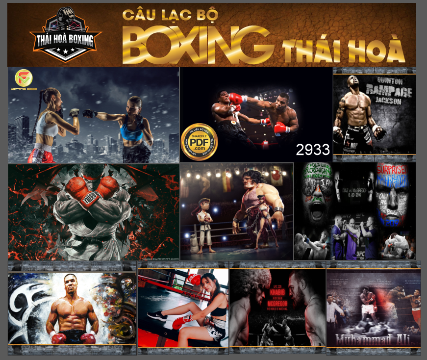 cau lac bo boxing thai hoa.png