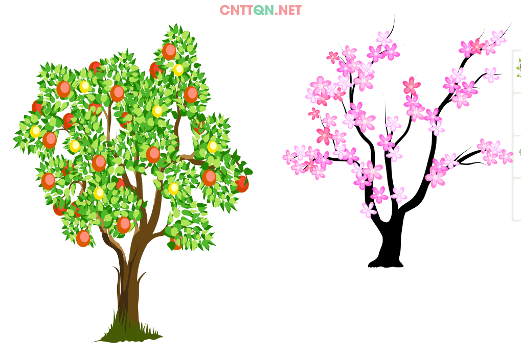 cay trang tri cua kinh - trang tri tuong 4.png