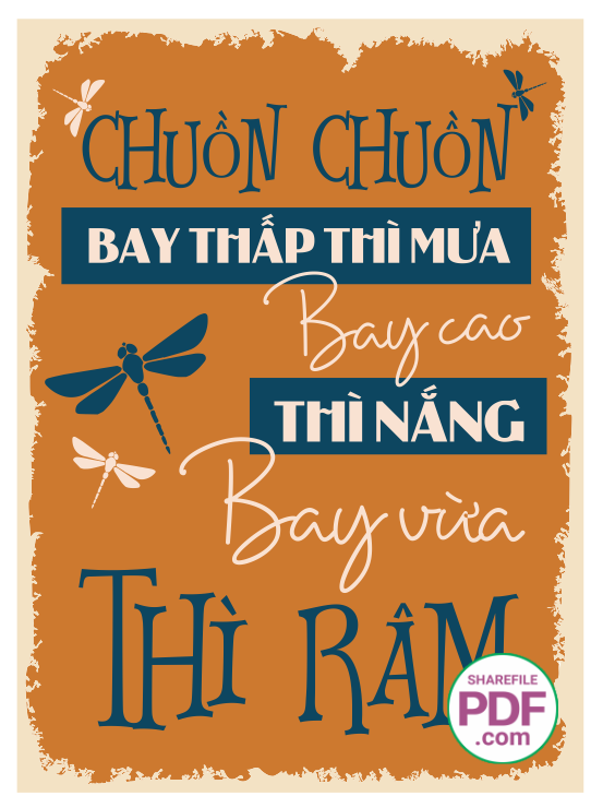 chuon chuon bay thap thi mua.png