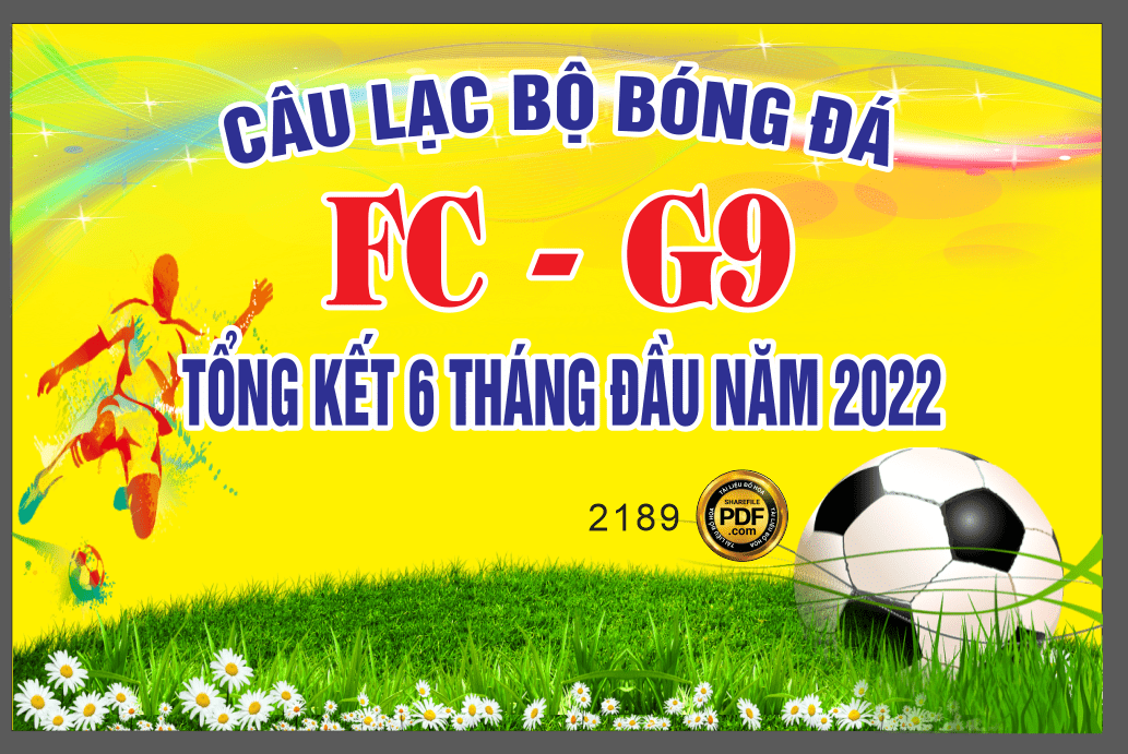 clb bong da fc g9 tong ket 6 thang dau nam-min.png