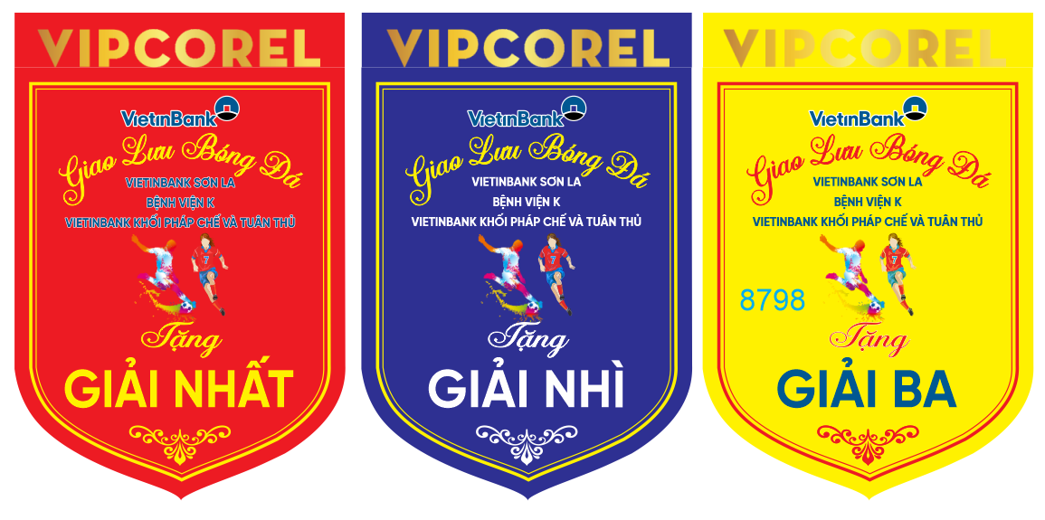 co luu niem giao luu bong da - viettinbank.png