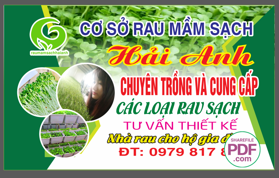 co so rau mam sach Hai Anh.png