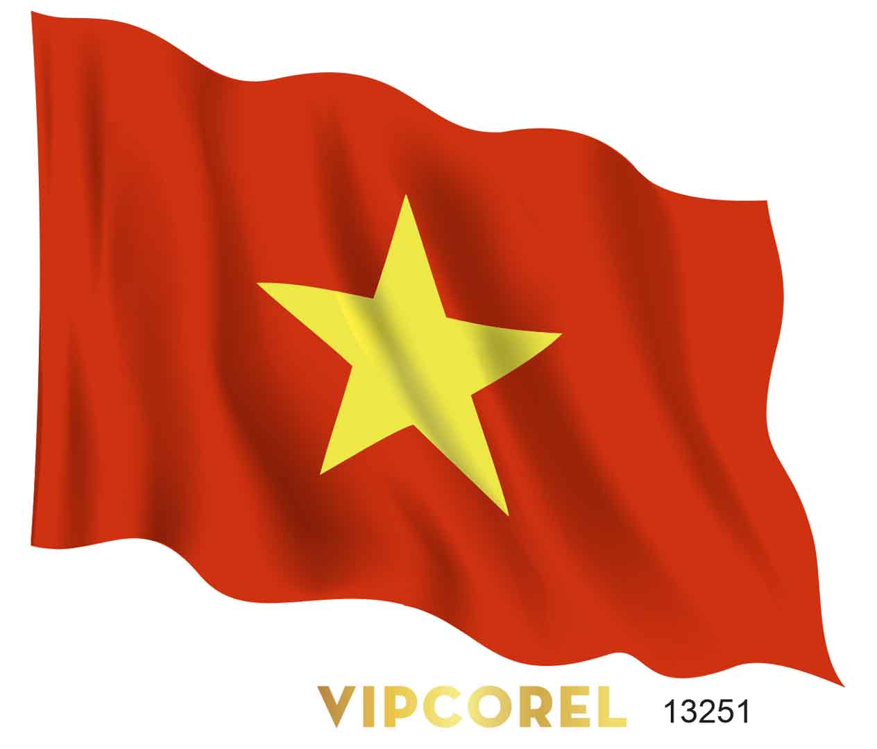 co viet nam tung bay.jpg