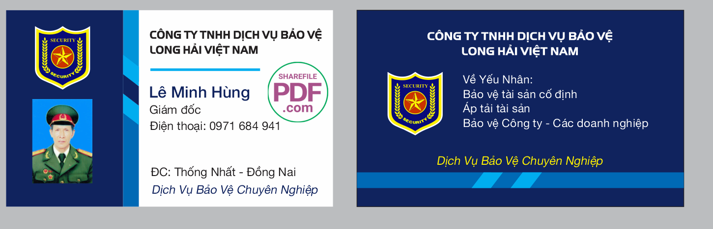 cong ty dich vu bao ve long hai.png