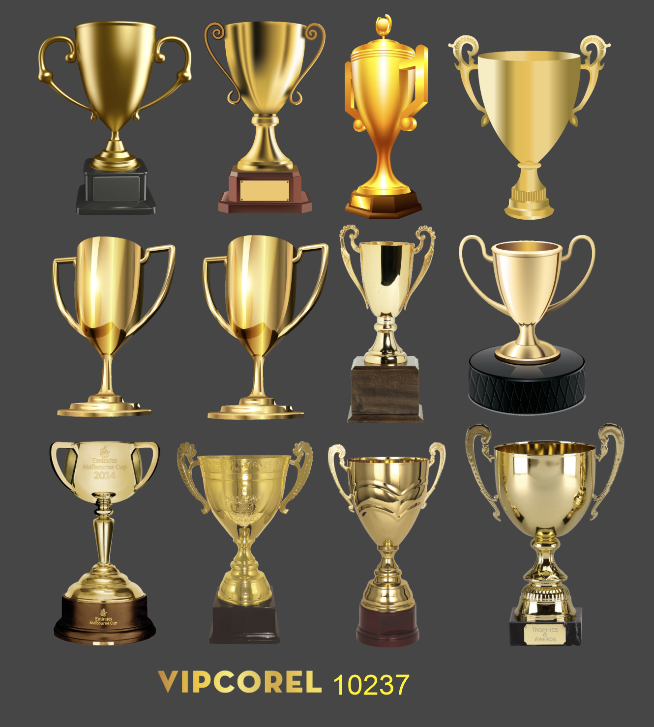 cup vo dich bong da gold.png