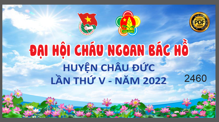dai hoi chau ngoan bac ho huyen Chau Duc.png