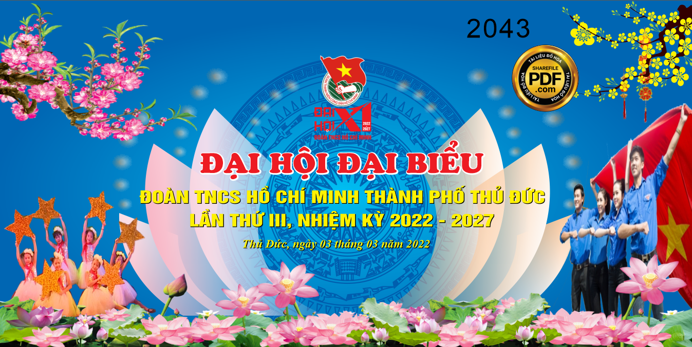 dai hoi dai bieu doan TNCS Ho Chi Minh tp Thu Duc #4.png