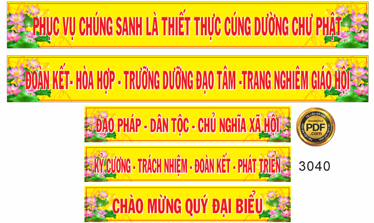 dai hoi dai bieu phat giao hieu ham tan 3.png