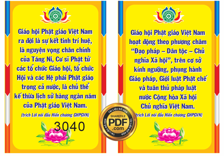dai hoi dai bieu phat giao hieu ham tan 4.png
