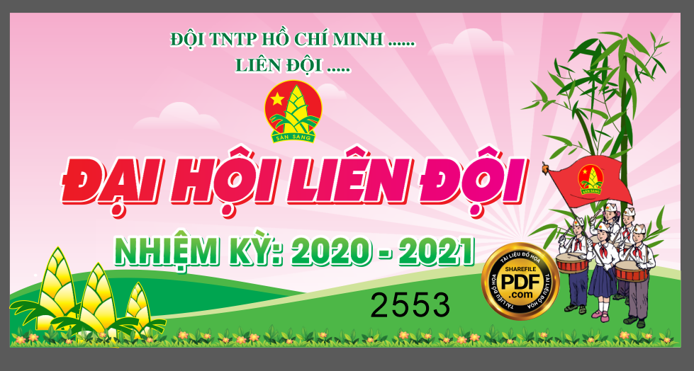 dai hoi lien doi - doi tntp ho chi minh - nhiem ky 2022.png