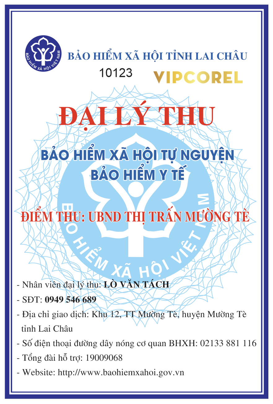 dai ly thu bao hiem xa hoi tu nguyen - bao hiem y te.png