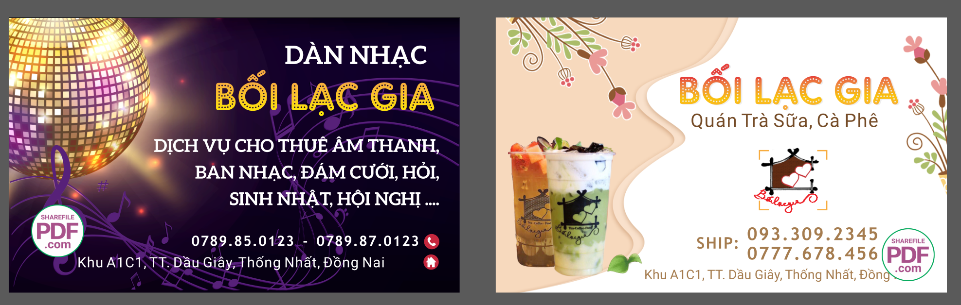 dan nhac boi lac gia.png