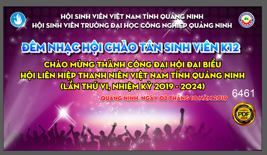 dem nhac hoi chao tan sinh vien k12.png